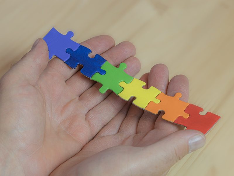 Puzzle-ul – magie pentru creier